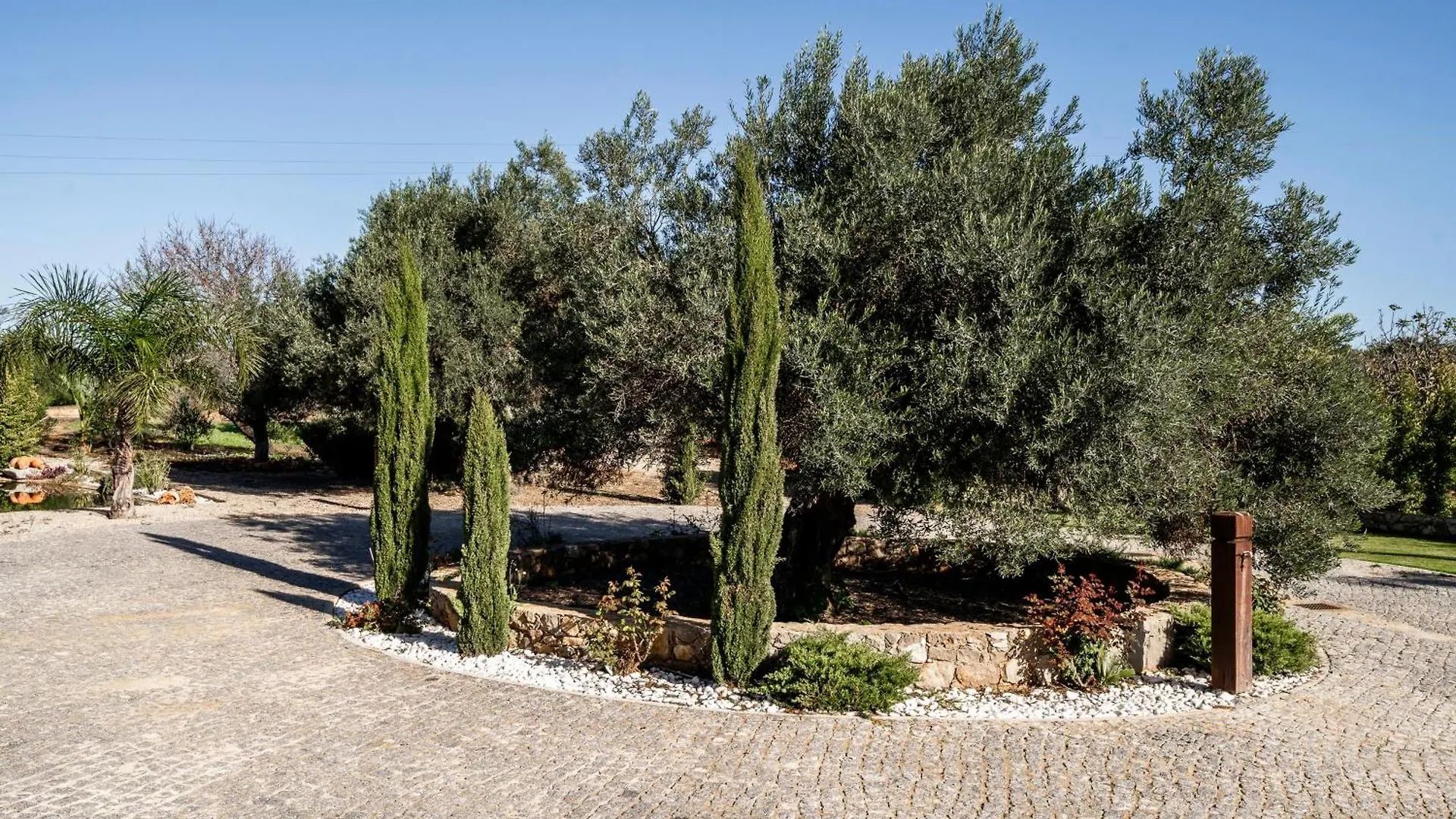 Villa Mit Pool Und Grossem Garten Tavira Portugal